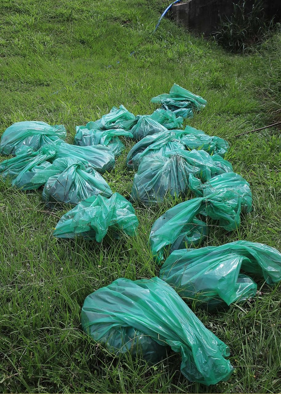 Reciclaje y transformación