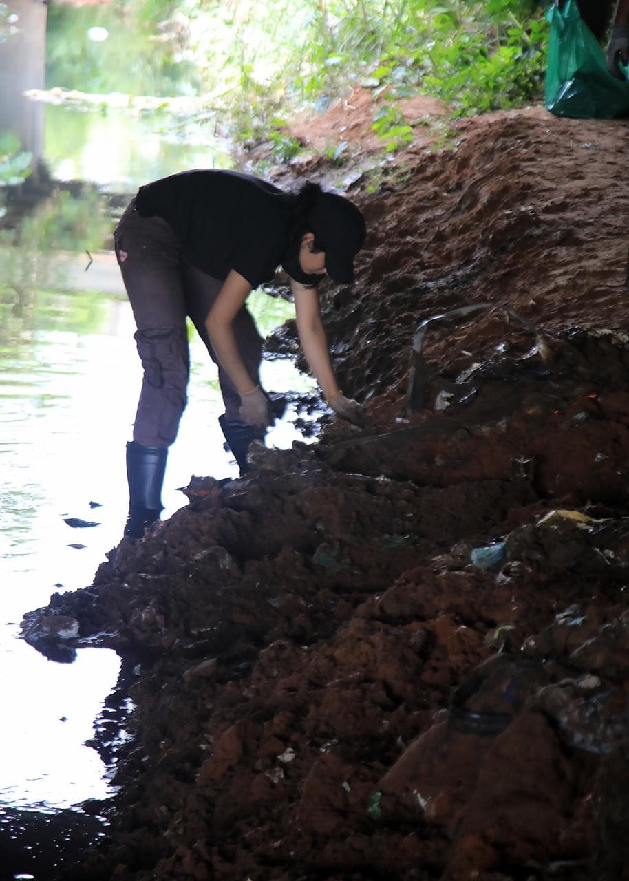 Gestión y trazabilidad